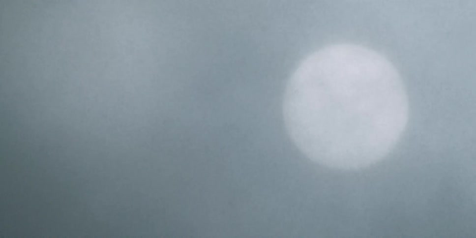 The sun shines through falling snow