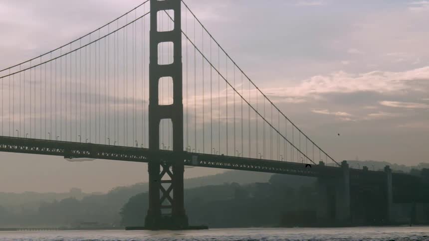 A bird flies past a bridge on a cloudy day