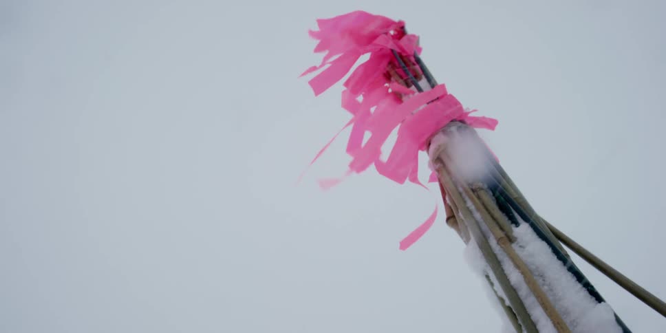 Bamboo sticks with pink flagging in a blizzard