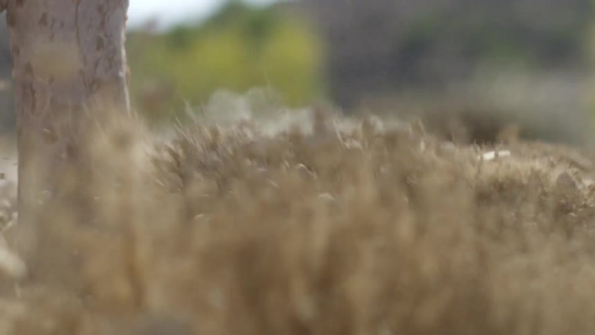 A stick is moving the gravel and dirt