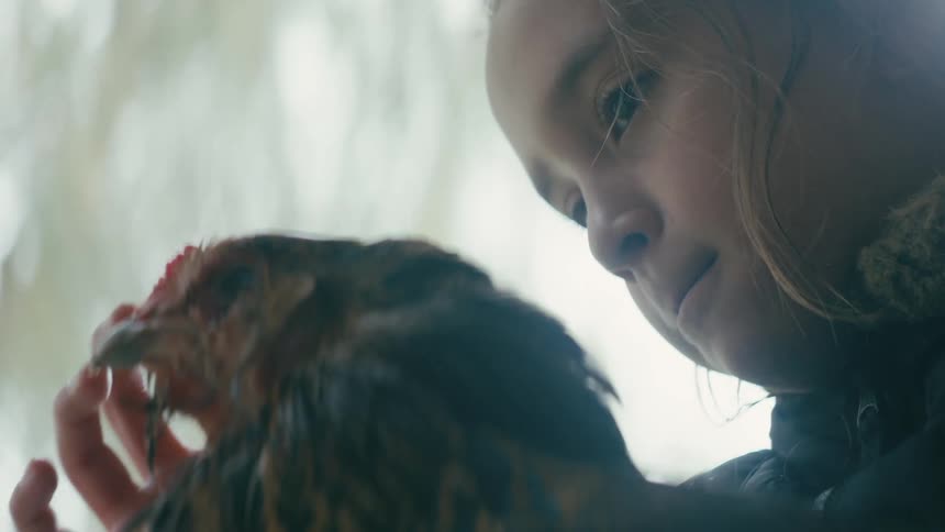 A little girls strokes a chickens head