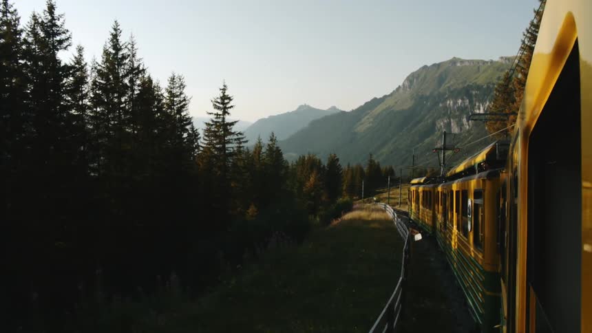 View from a train traveling down the tracks with a forest nearby