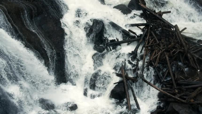 Rough rapids are going downhill on rocks and trees