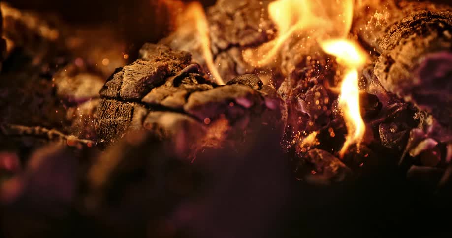 Fire burning wood with flames and embers