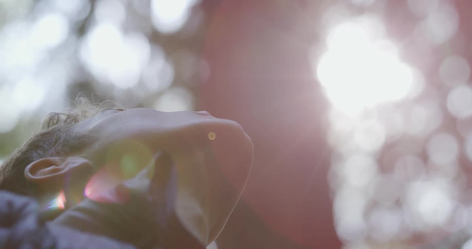 Man stands outdoors under tree looking up toward glaring sun