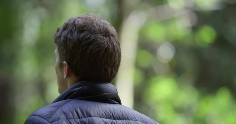 A man stands and looks at the trees