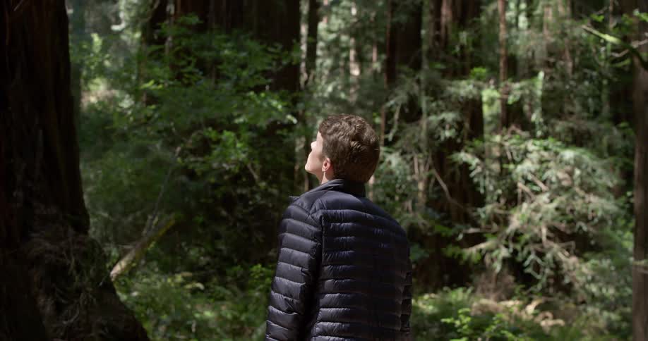 A man is standing in a forest area