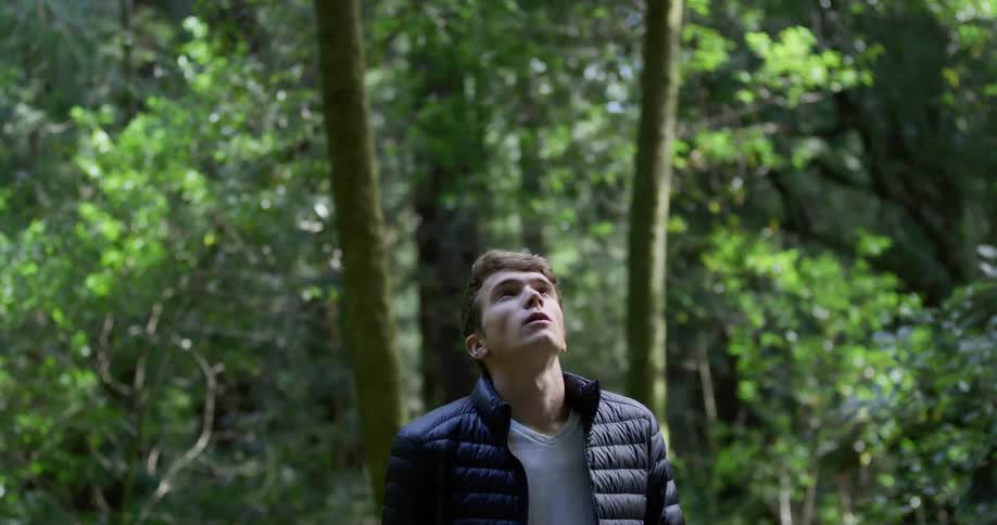 Man looks up at the tall trees in the forest
