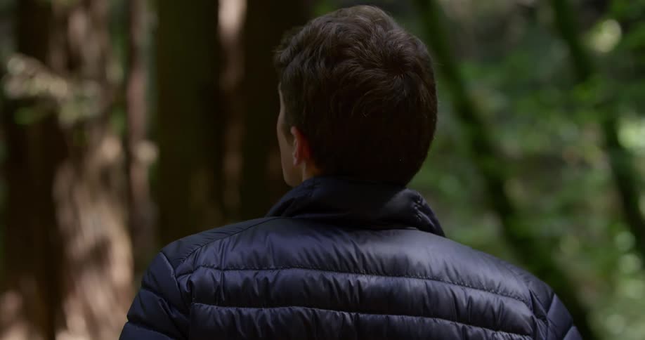 Back view of a man walking in the forest
