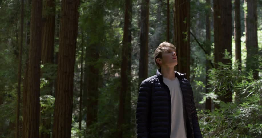 Youth walks through forest among tall trees