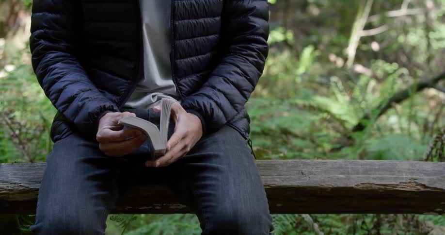 A person sat on a bench with a book