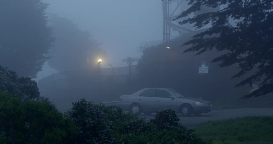An abandoned car parked during a foggy morning
