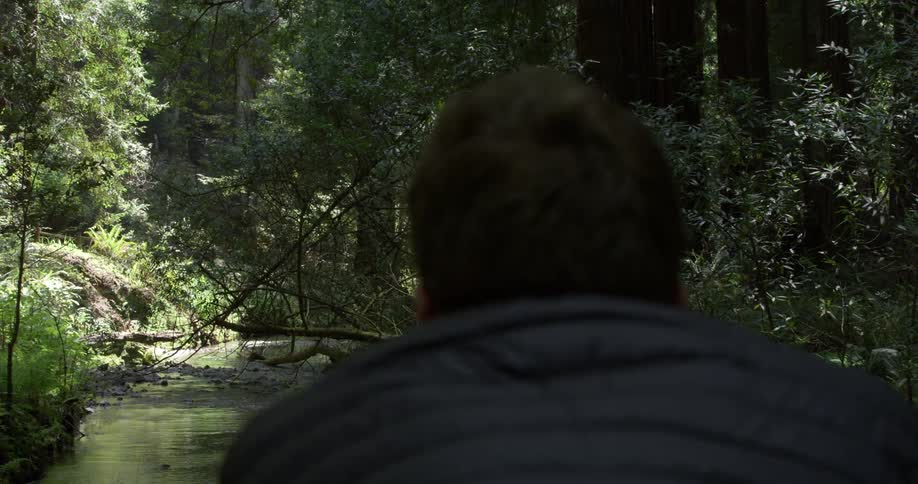 A man next to a creek in a forested area