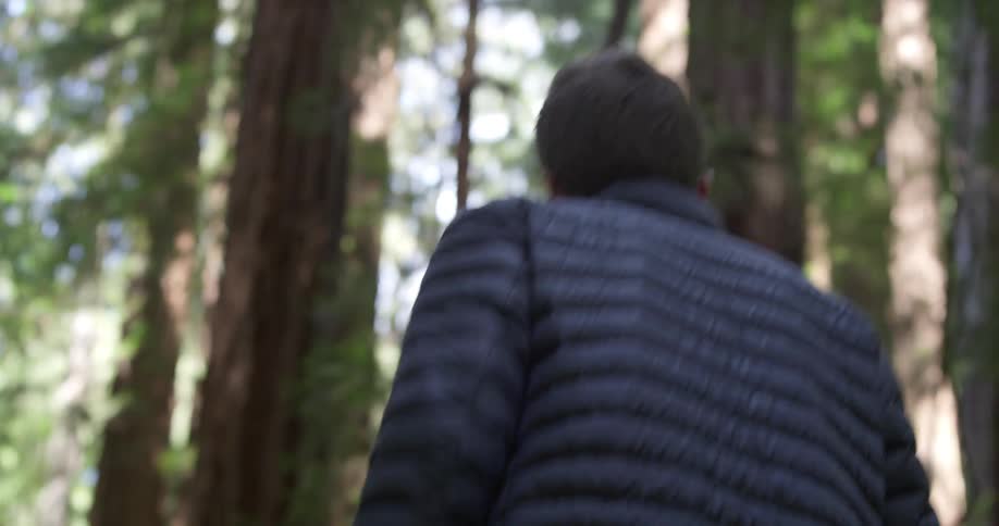 Man walks uphill in the forest