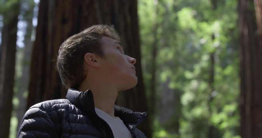 A young man looks up at the trees that surround him