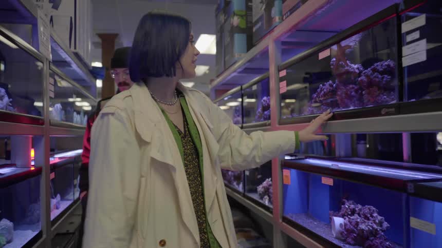 A man and woman browse several aquariums as they walk down an aisle