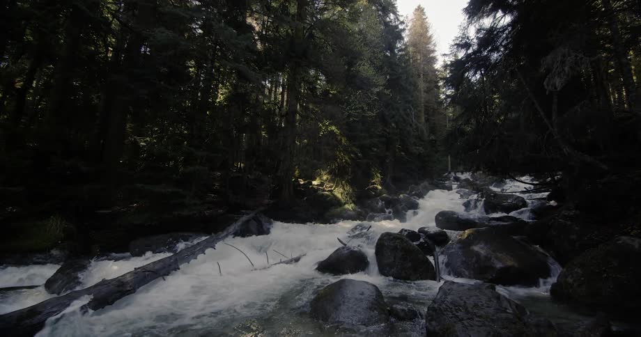 Water rapidly flowing down over rocks in a stream hidden in the wilderness