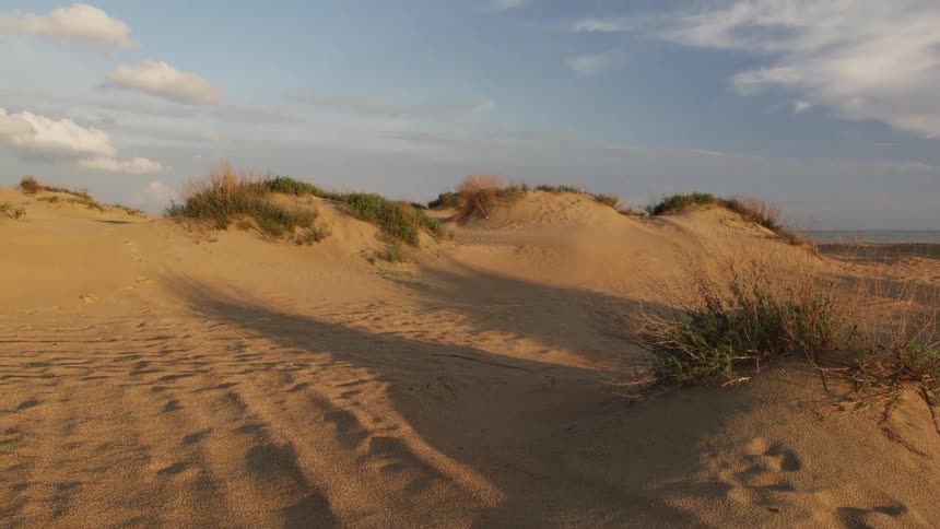 A bird flies alone over the desert