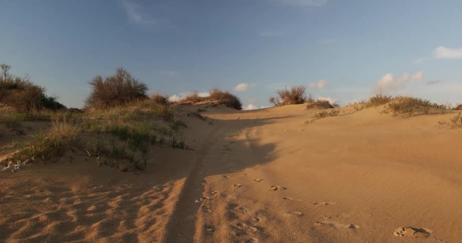 Landscape view of sandy soil and grass