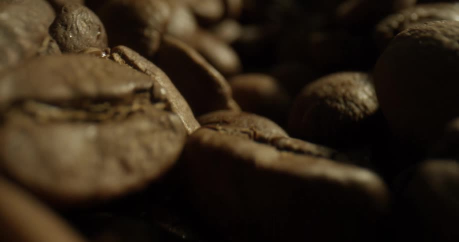 Coffee beans in a factory