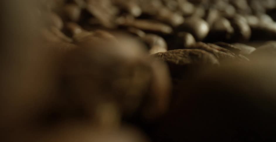 A machine pushes a layer of coffee beans into a pile