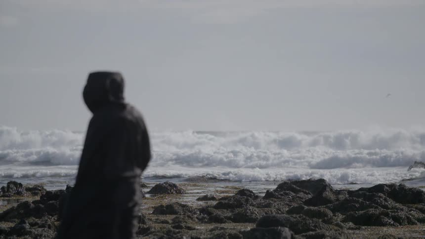 A person wearing a robe is standing by the shore on a cloudy day