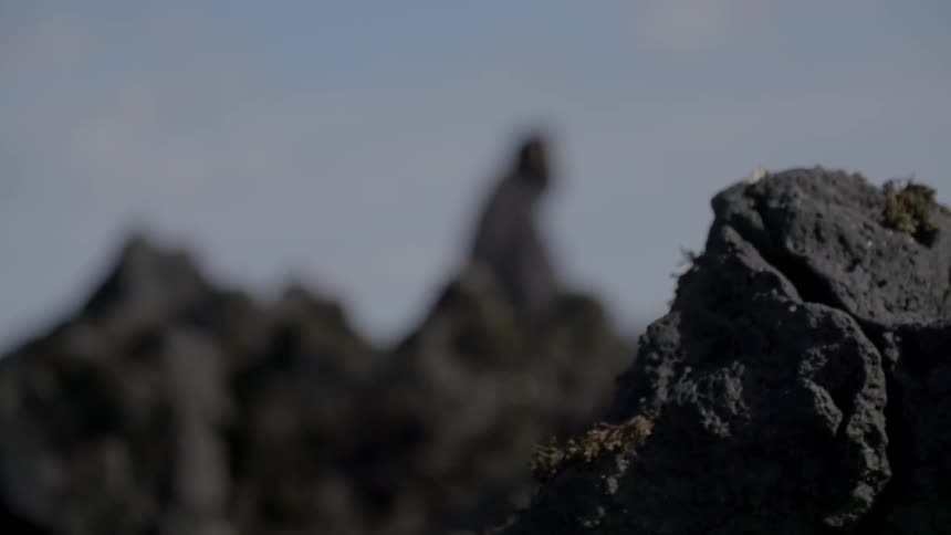 A person walks in front of dark colored rocks