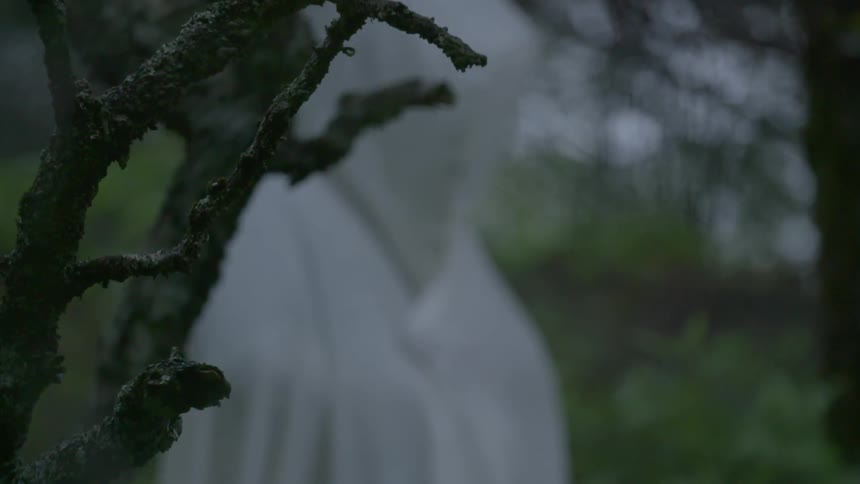 A person wearing white robes is walking through a forest