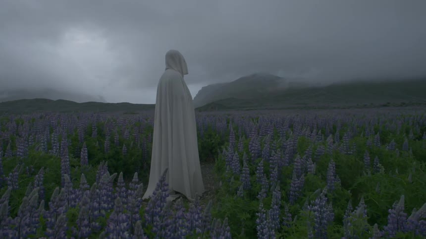 A white caped figure stands in a field of flowers