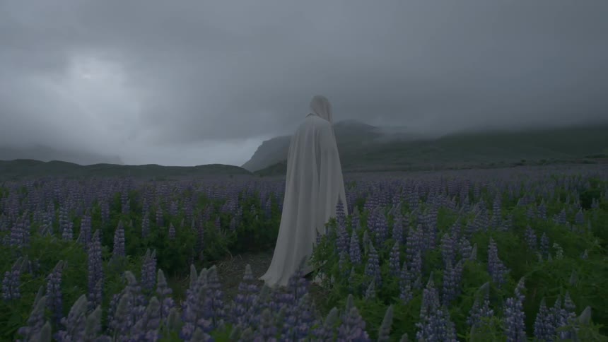A figure in a white cloak is walking through a field of purple flower stalks under stormy skies
