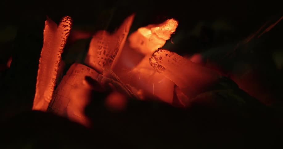 Coals burning in a firepit