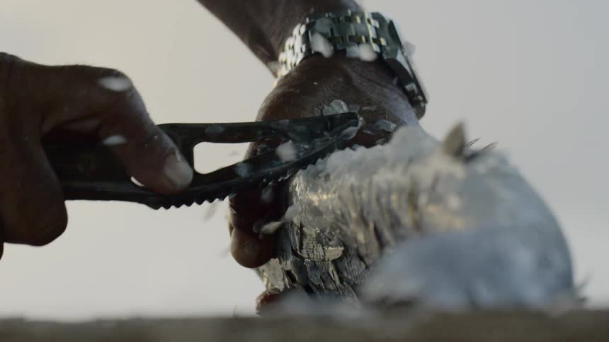 A man scales a fish