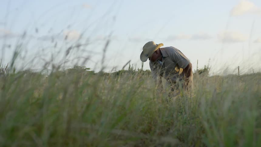 Man uses how to work the earth in grassy field