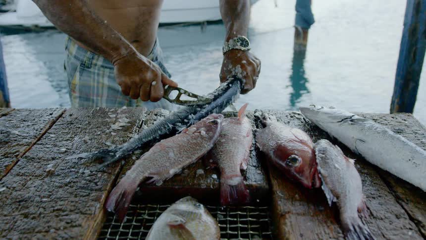A man scrapes scales off a fish