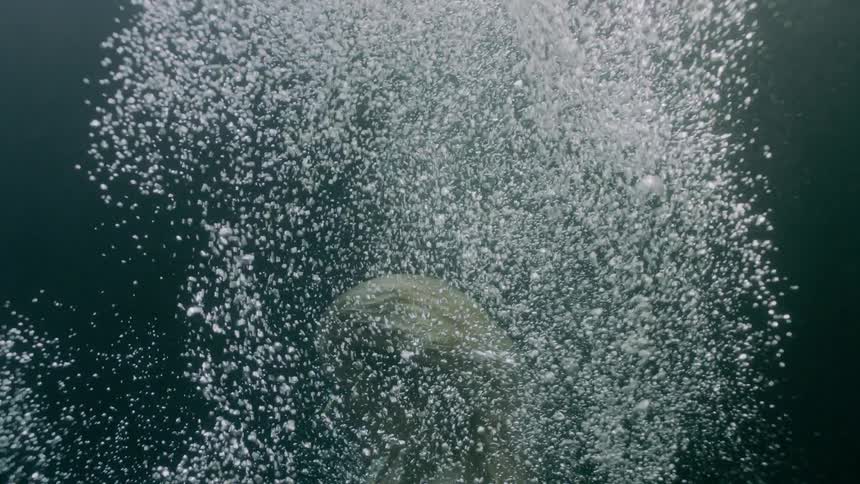 Underwater footage of woman diving into water filled with air bubbles