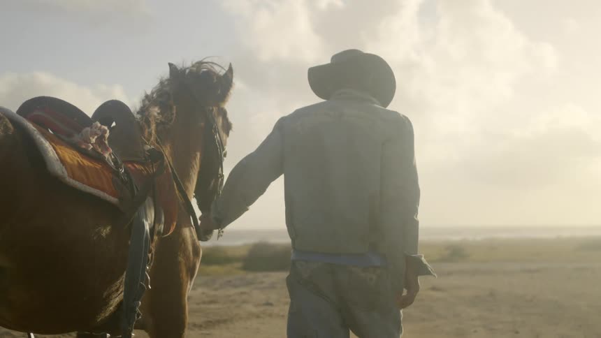 Man wearing a cowboy hat walks the horse along the field