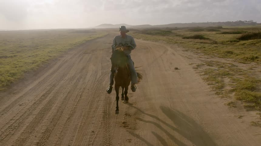 Man rides a horse along the dirt road in the field