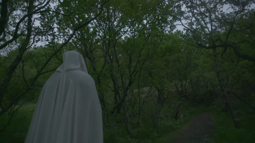 A person wearing white robes walks into a forest