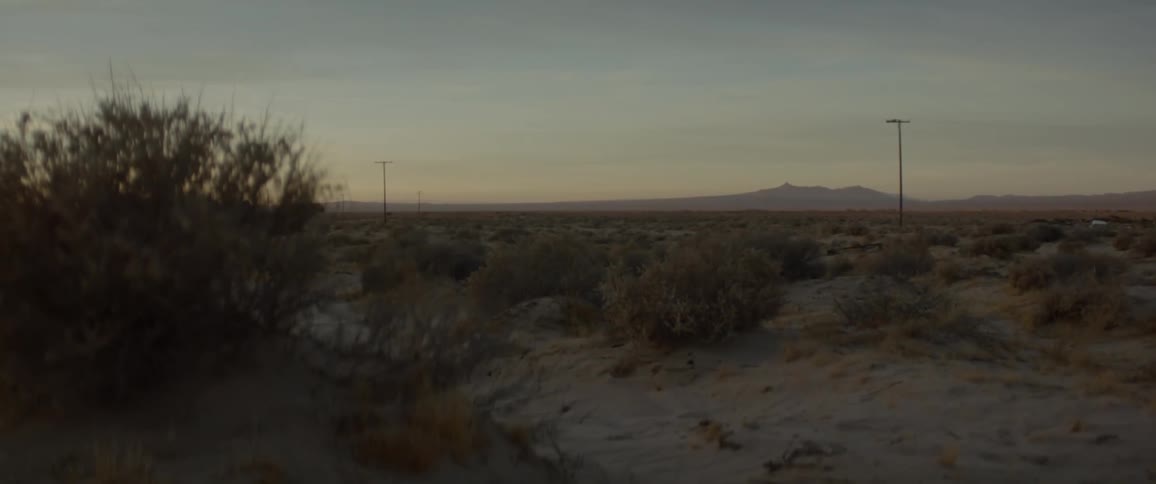 Shrubs in a desert near a road in the evening