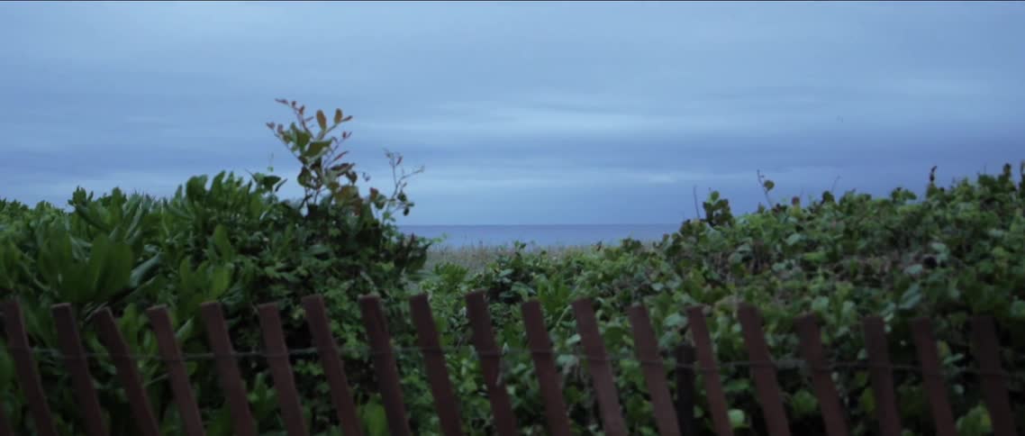 Fence and green vegetation obscure water under cloudy sky