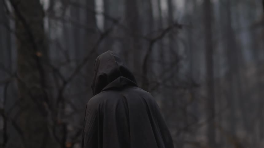 A black caped figure walks towards the woods
