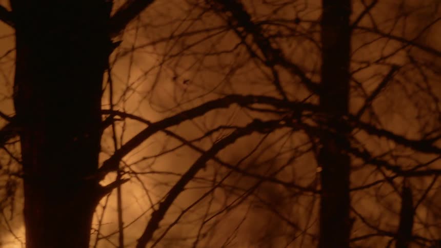 Zooming in on a raging fire in a forest