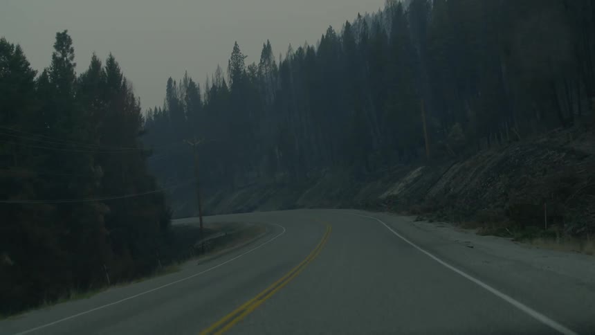A car is traveling down a twisting road on a foggy day