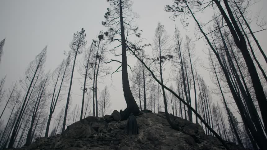 A tree is on the top of the rocks with more behind on cloudy day