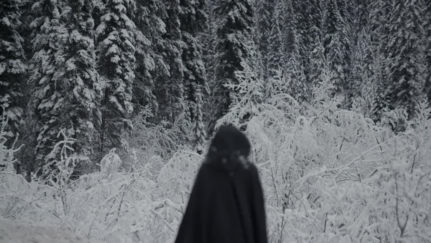 A cloaked figure stands in a snowy forest
