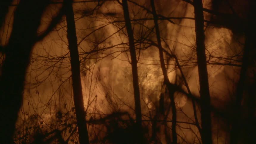 A fire is raging in a forest at night