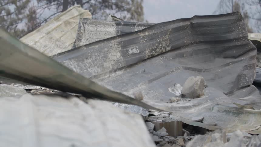 Close up of some debris on the ground with trees behind
