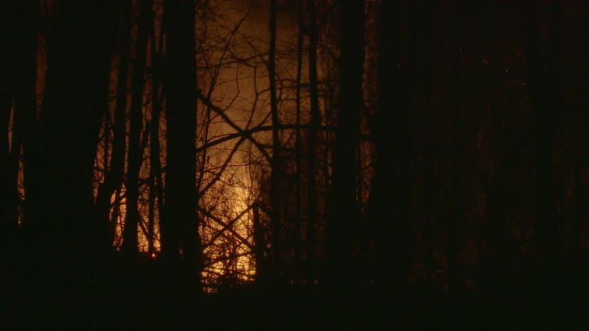 A fire is raging in the distance of a dark forest