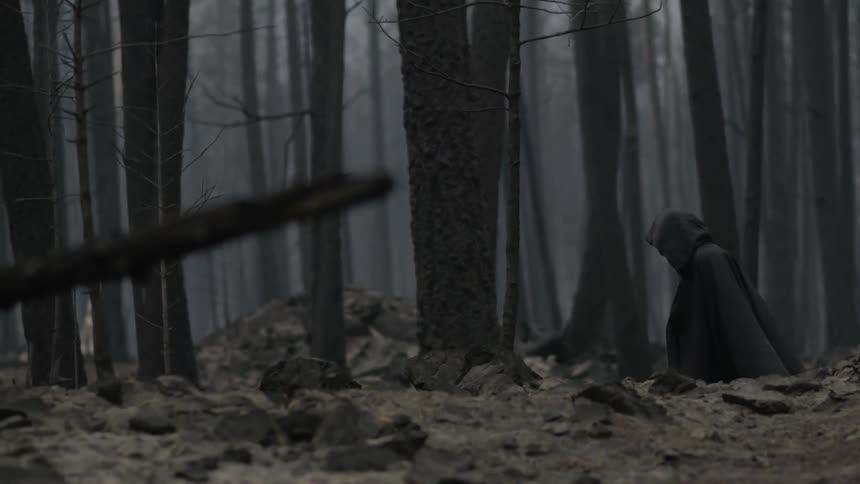 A person wearing black robes walks through a dense forest