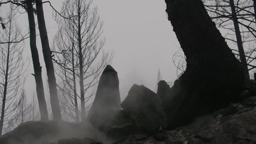 A person is walking over a hill covered in fog wearing a black robe